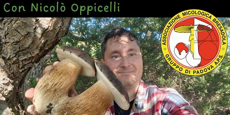 Tecnogas Auditorium Albignasego